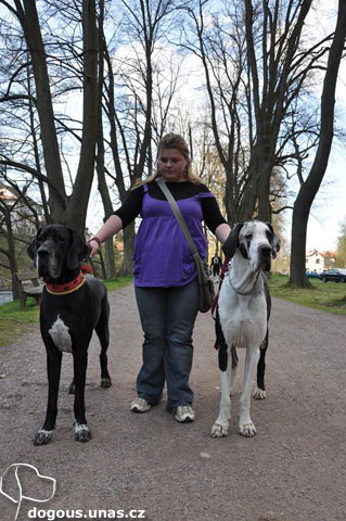 Dizzča na výstavě šeďáků 2011 dizzy-segry-sedaci2011