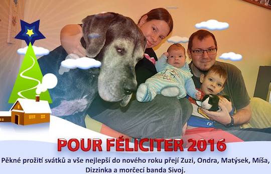 Dizzinka na Vánoce 2015 mates-dizzy-pf16